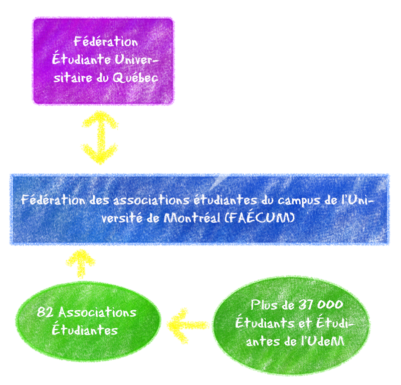 explication graphiques des relations entre FACUM, FEUQ et ASSUM